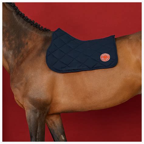 hoof pick hermes|Hermes horse saddle pad.